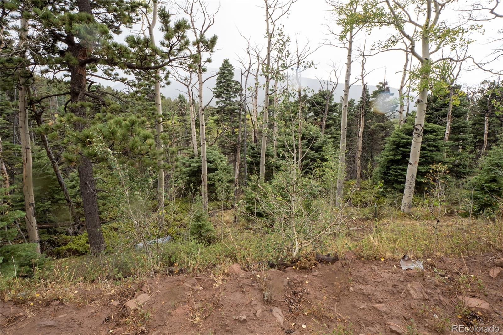 Lot 2825 Moir Dr Lot 2825, Fort Garland, CO 81133