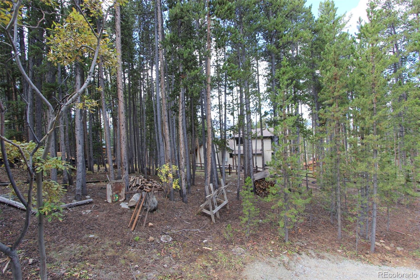 160 Timber Lane Cir, Breckenridge, CO 80424