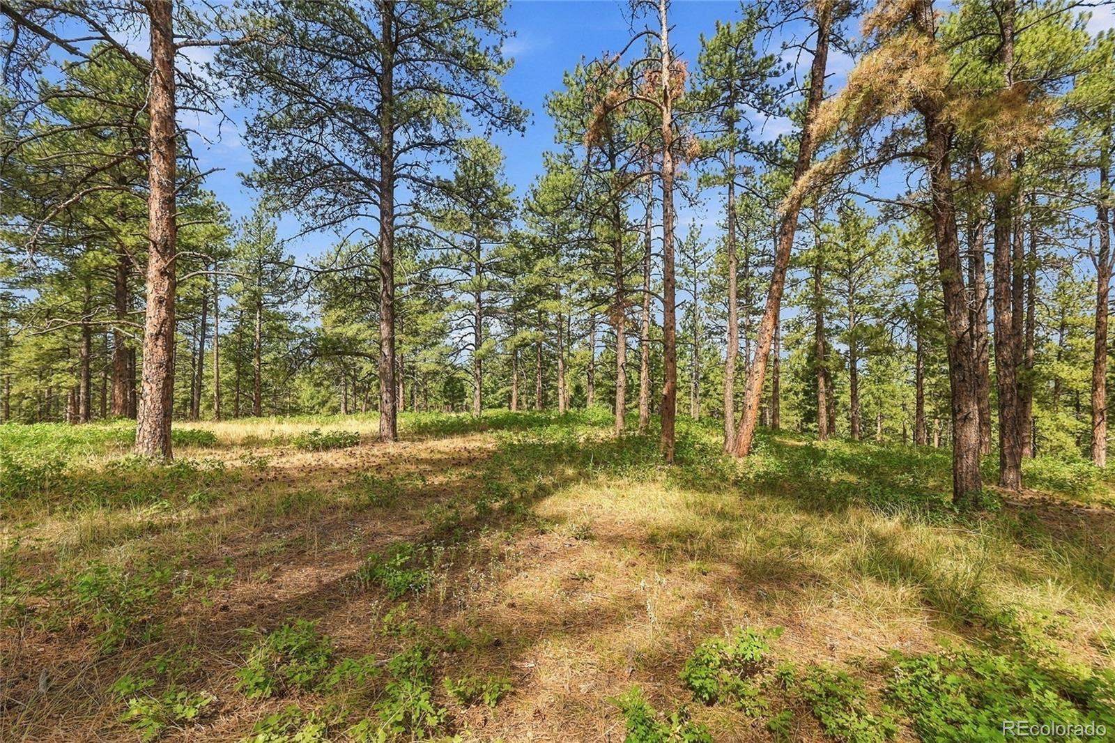 Kinnikinnik Dr Lot 1, Larkspur, CO 80118