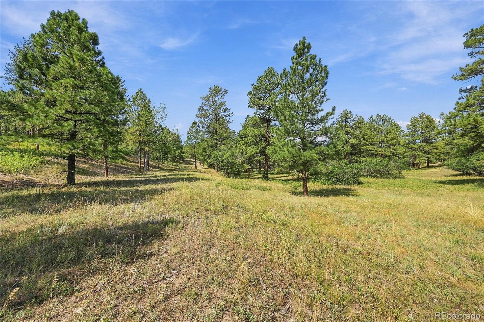 Kinnikinnik Dr Lot 1, Larkspur, CO 80118