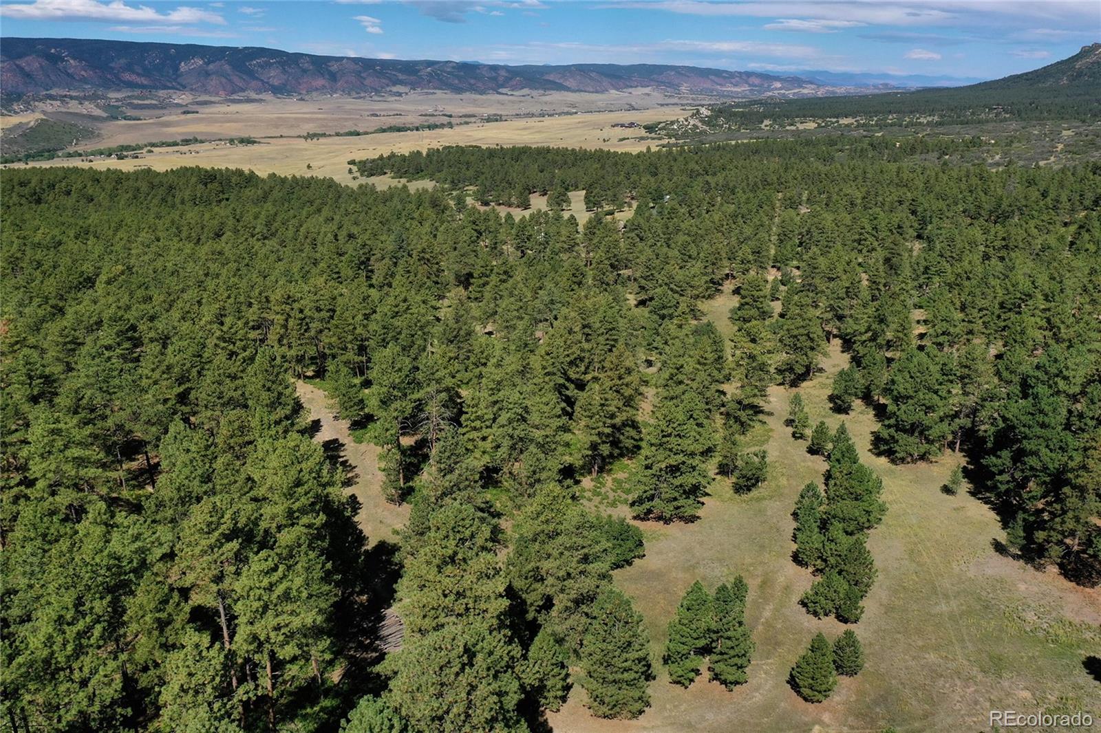 Kinnikinnik Dr Lot 1, Larkspur, CO 80118