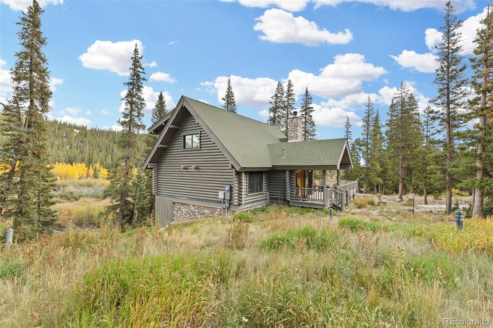 925 Gold Pan Ln, Fairplay, CO 80440