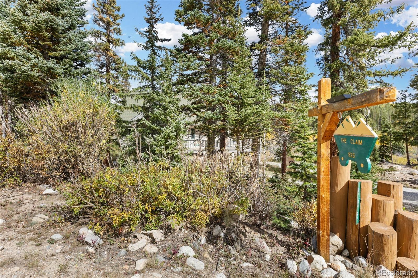 925 Gold Pan Ln, Fairplay, CO 80440