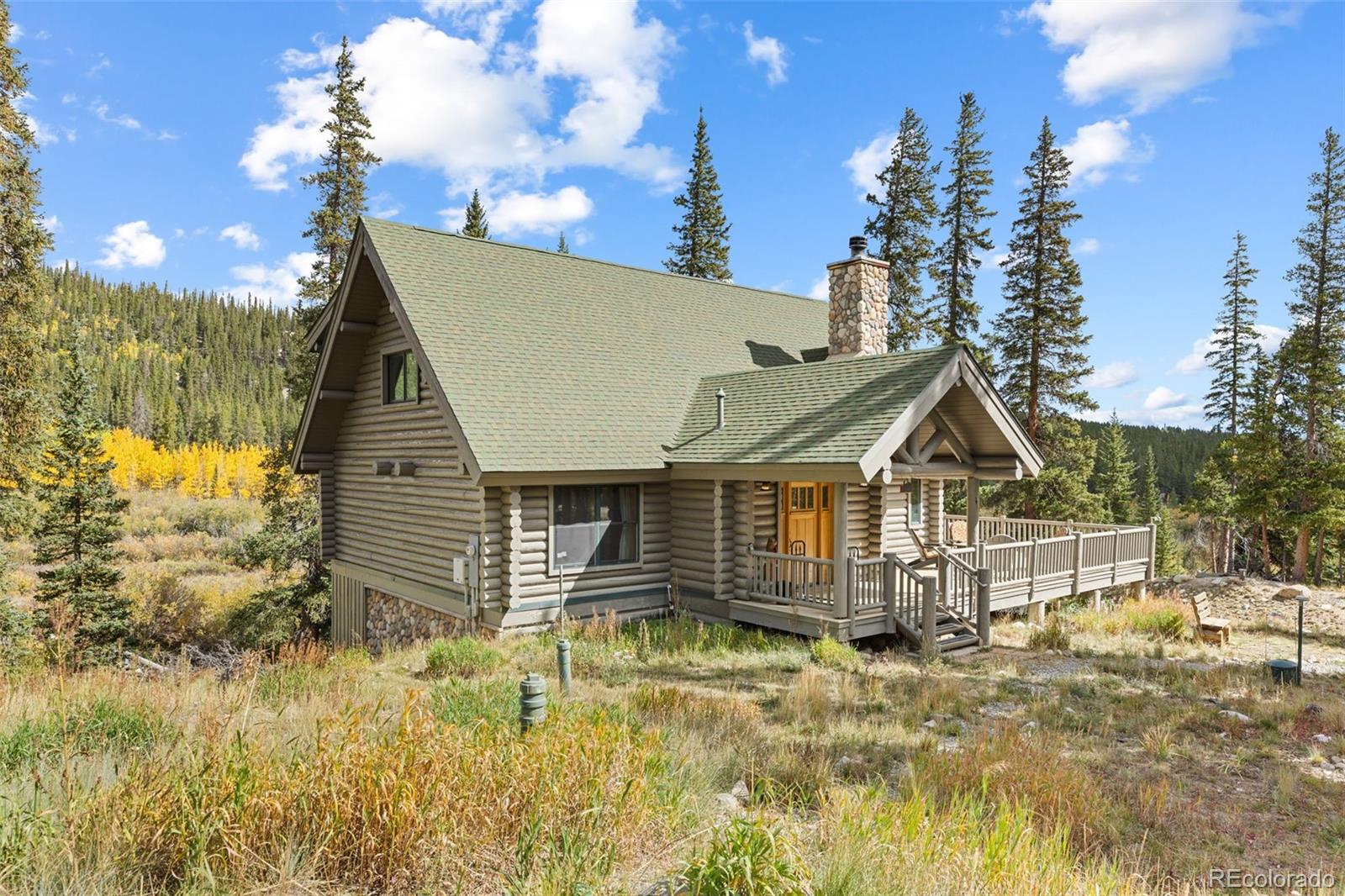 925 Gold Pan Ln, Fairplay, CO 80440