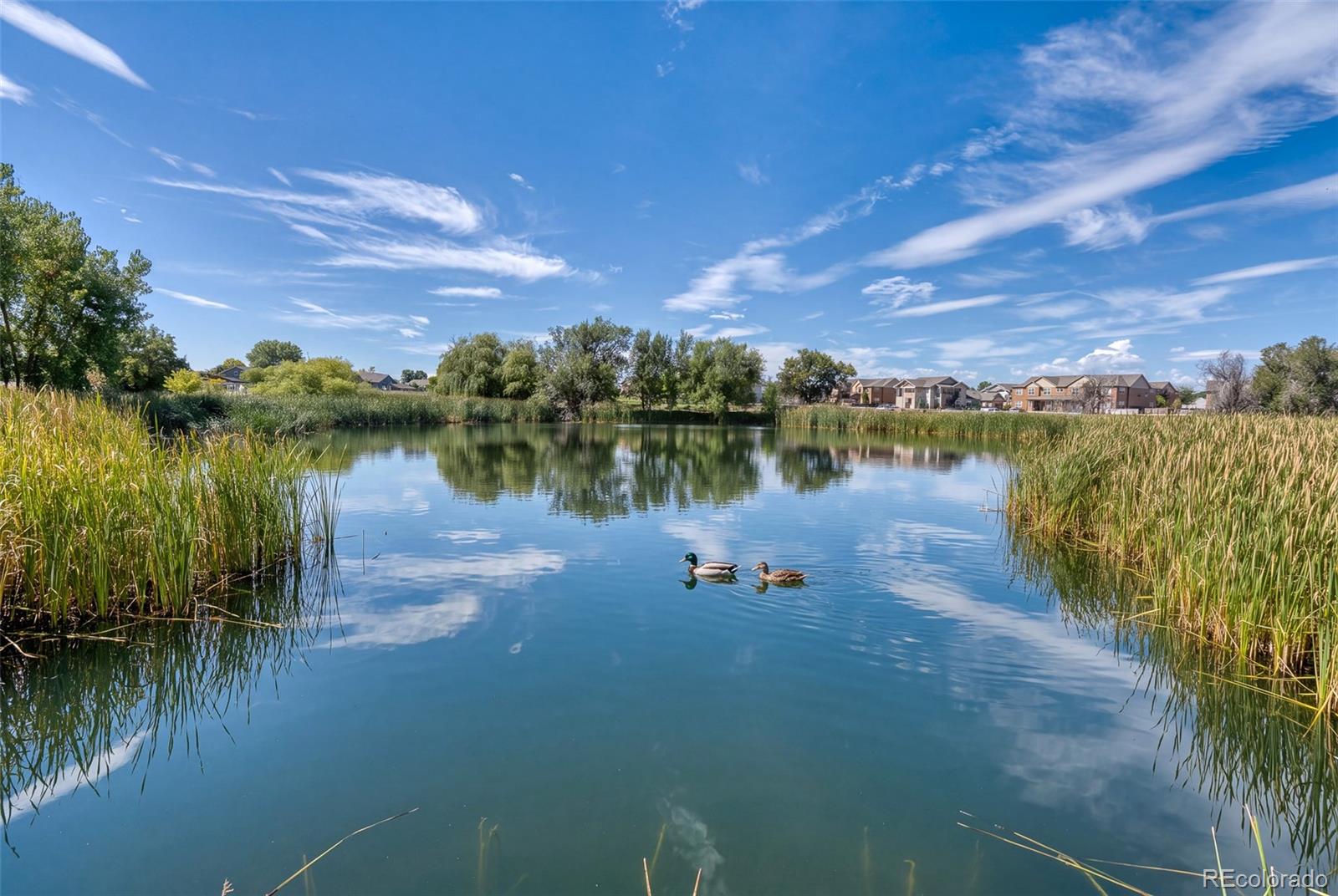 3639 29, Greeley, CO 80634