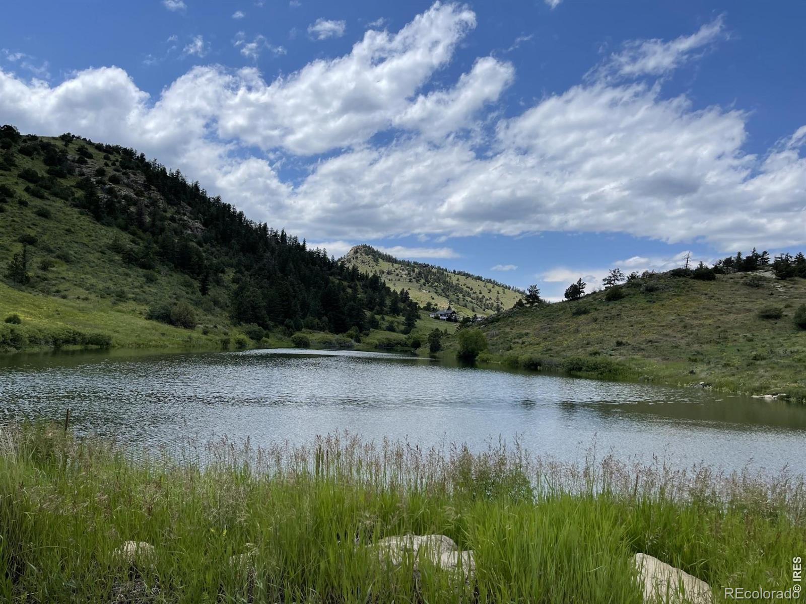 684 Iron Mountain Dr, Livermore, CO 80536