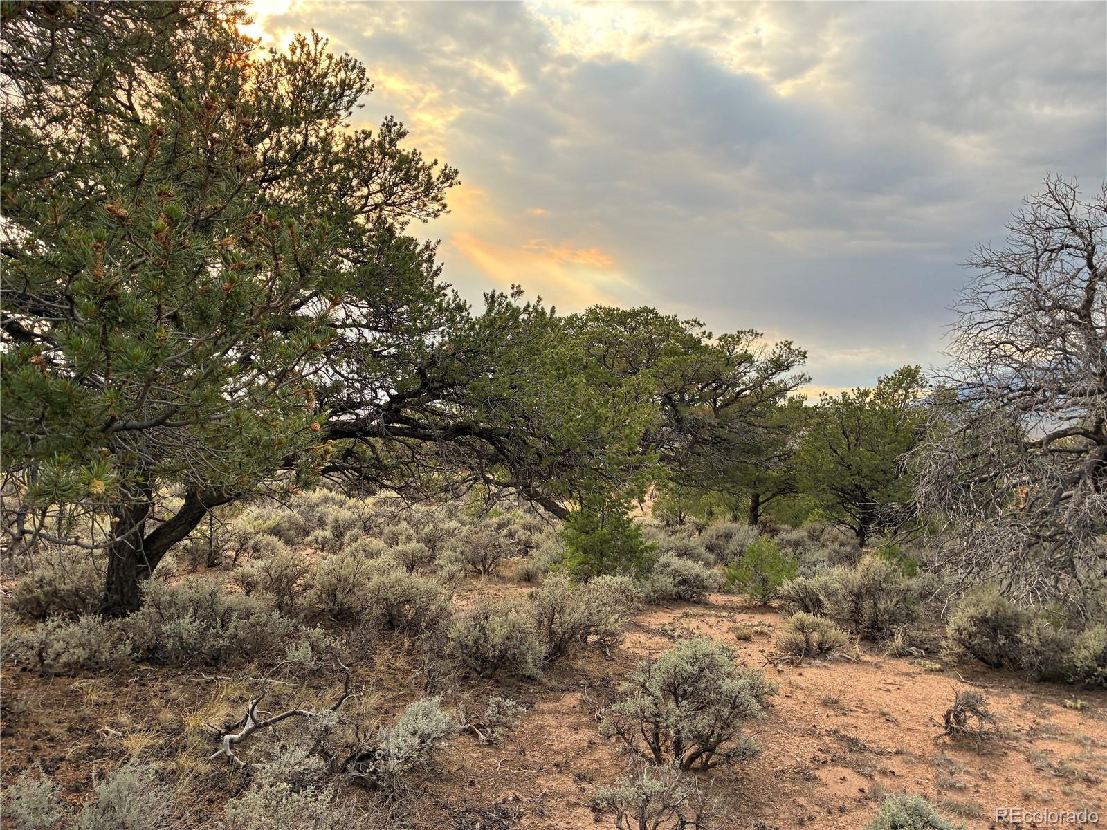LOT 7275 Red Jones Rd, Fort Garland, CO 81133