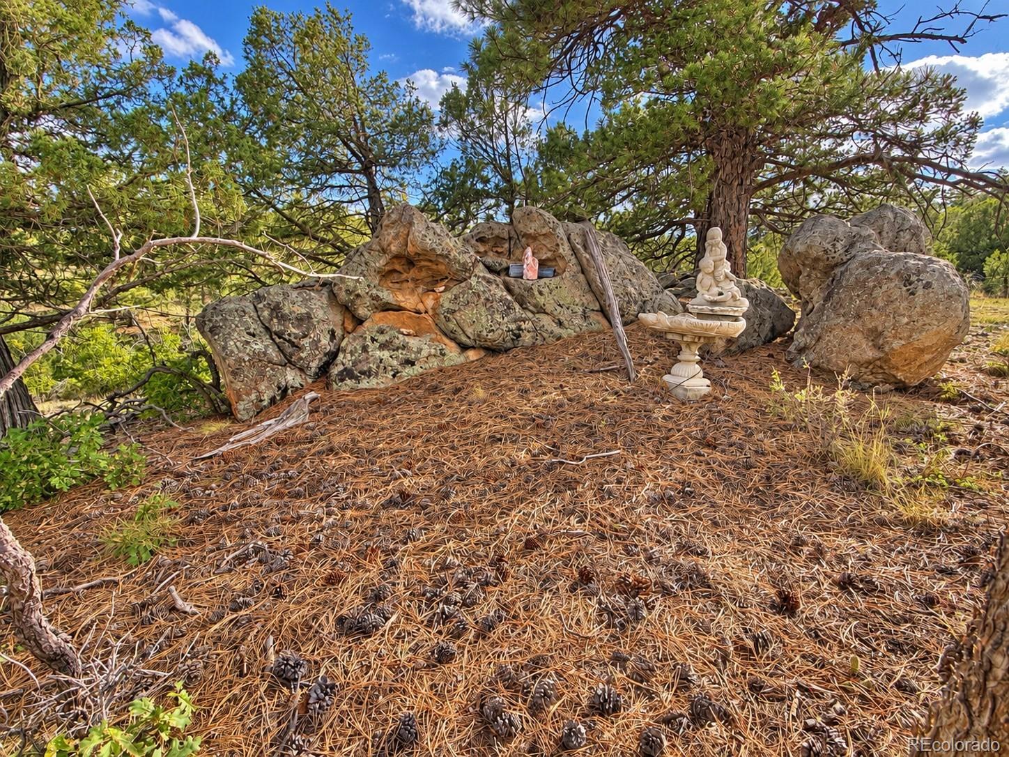 3455 Bird Point Dr, Cotopaxi, CO 81223