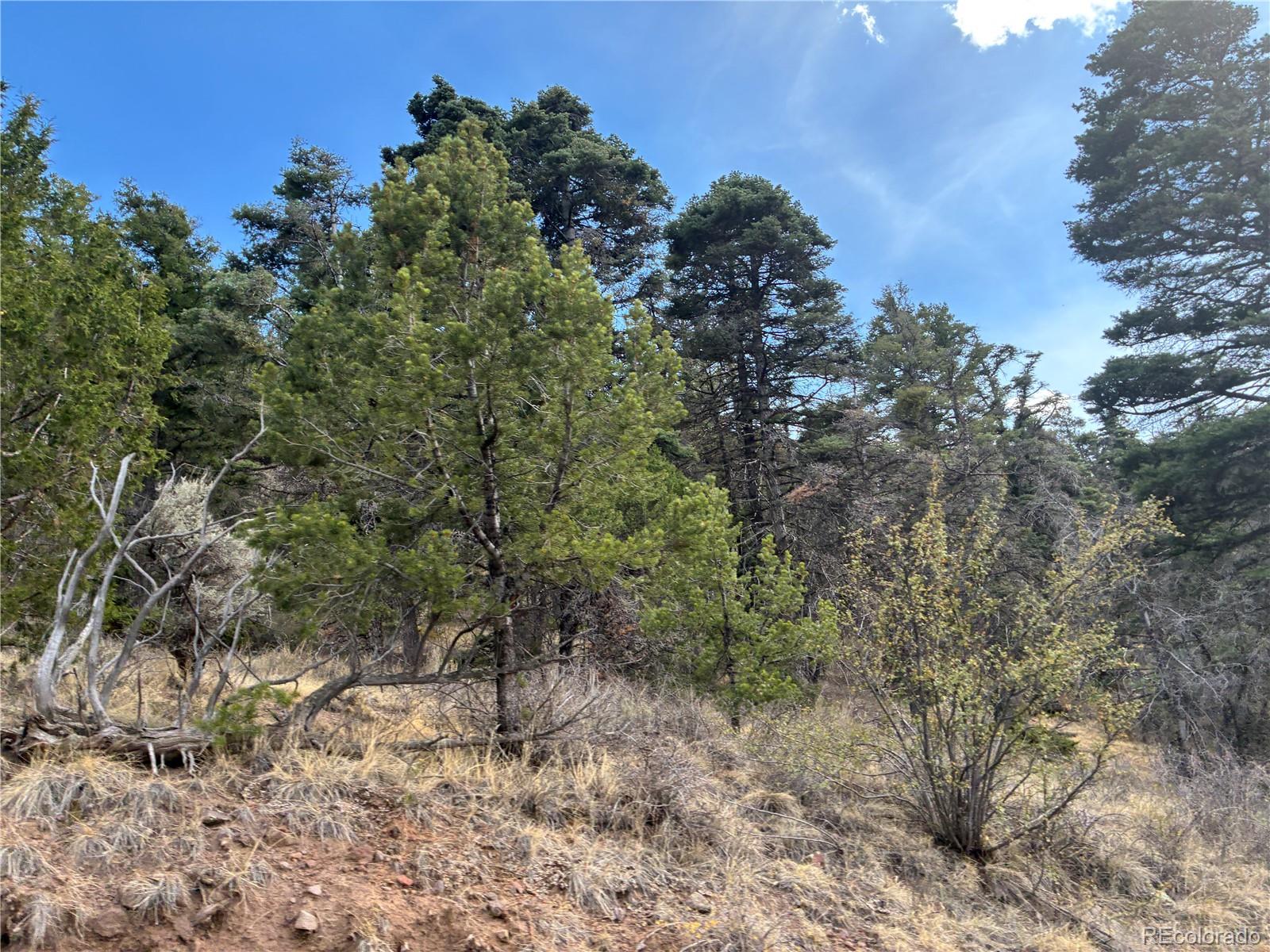 LOT 5504 Kriendler Rd, San Luis, CO 81152