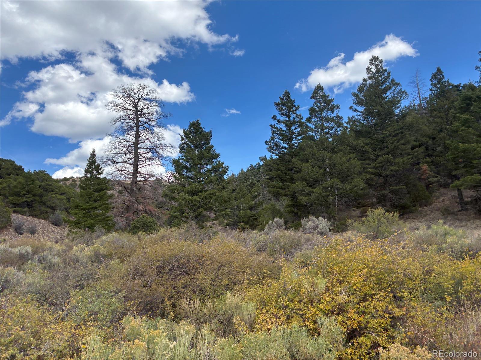 LOT 5504 Kriendler Rd, San Luis, CO 81152