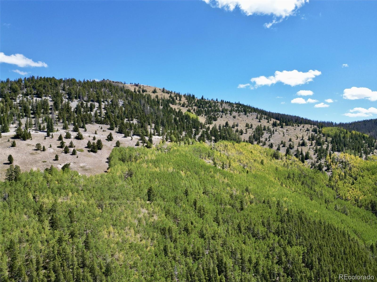840 Forest Service Road 890, White Pine, CO 81248