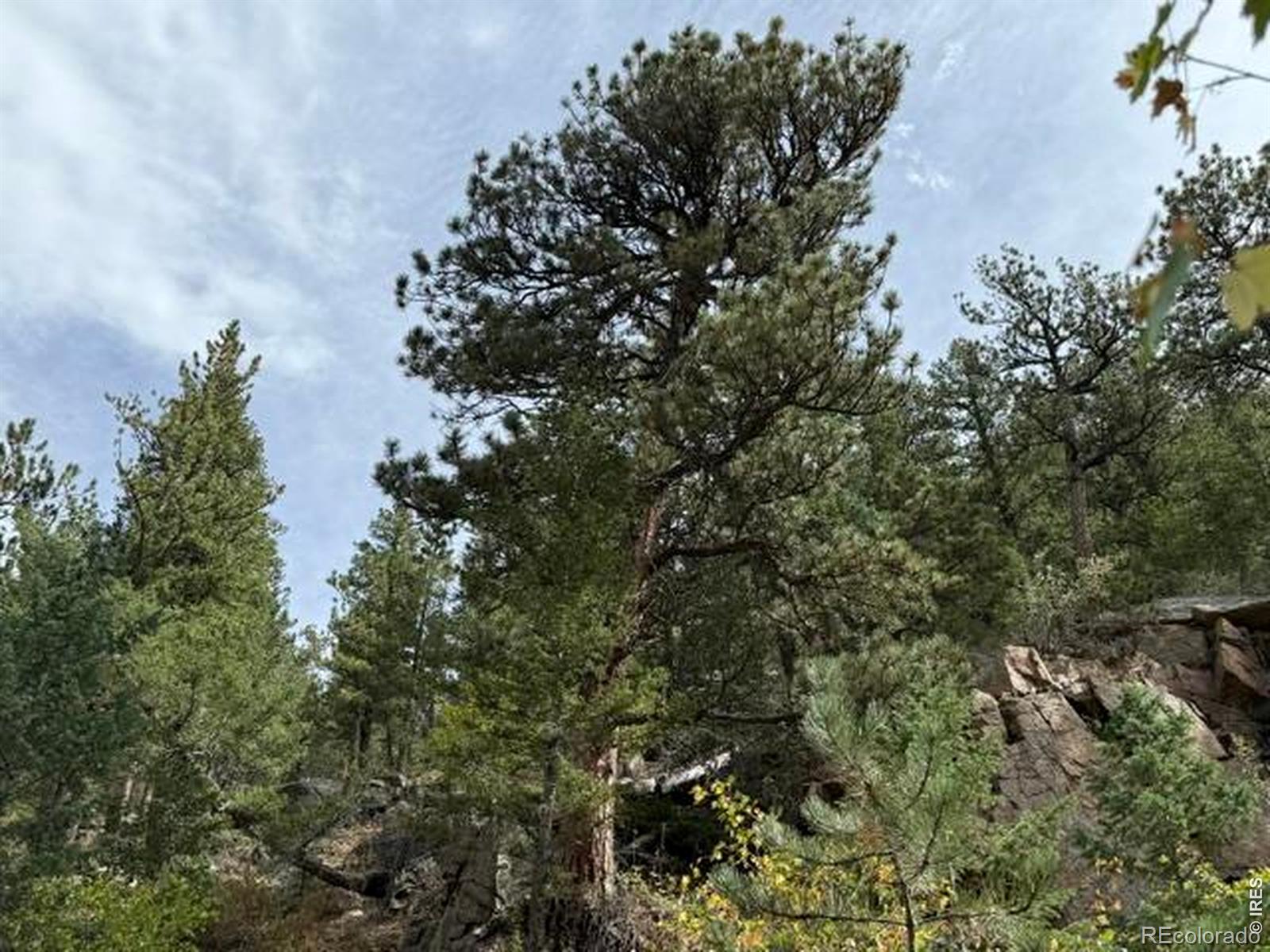 555 Riverside Dr, Lyons, CO 80540