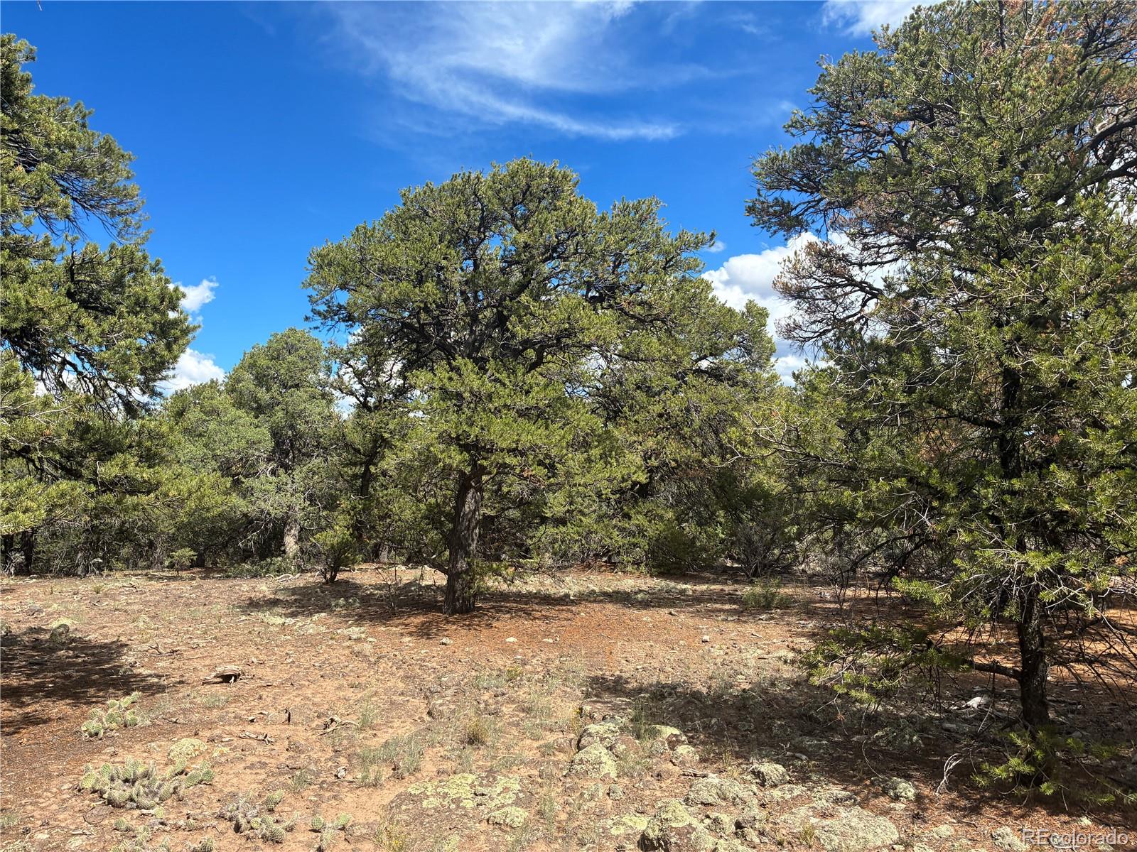 36AC Bull Elk Trail Rd, San Luis, CO 81152