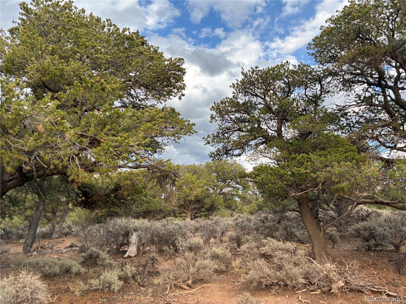 36AC Bull Elk Trail Rd, San Luis, CO 81152