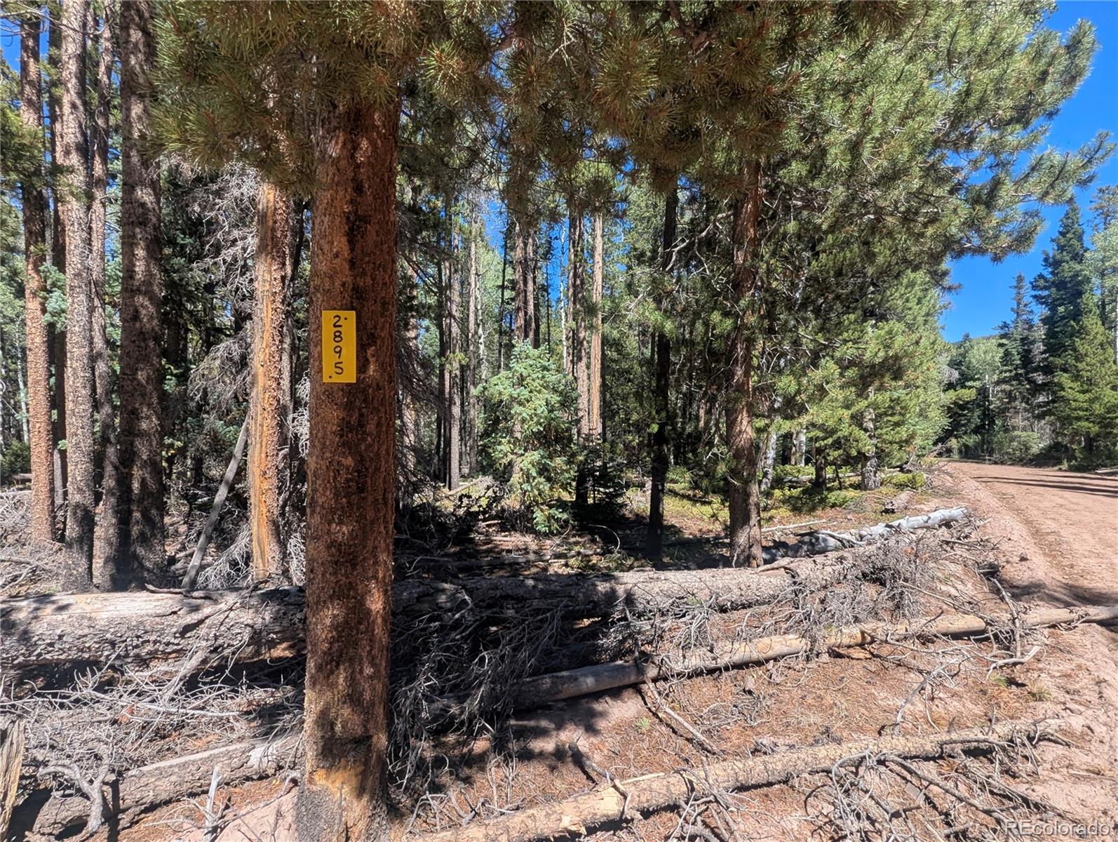 2895 Henderson Dr, Fort Garland, CO 81133