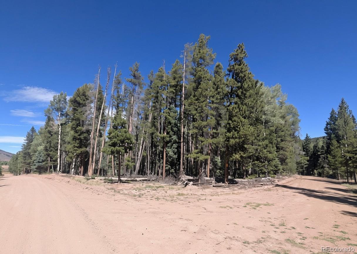 2895 Henderson Dr, Fort Garland, CO 81133