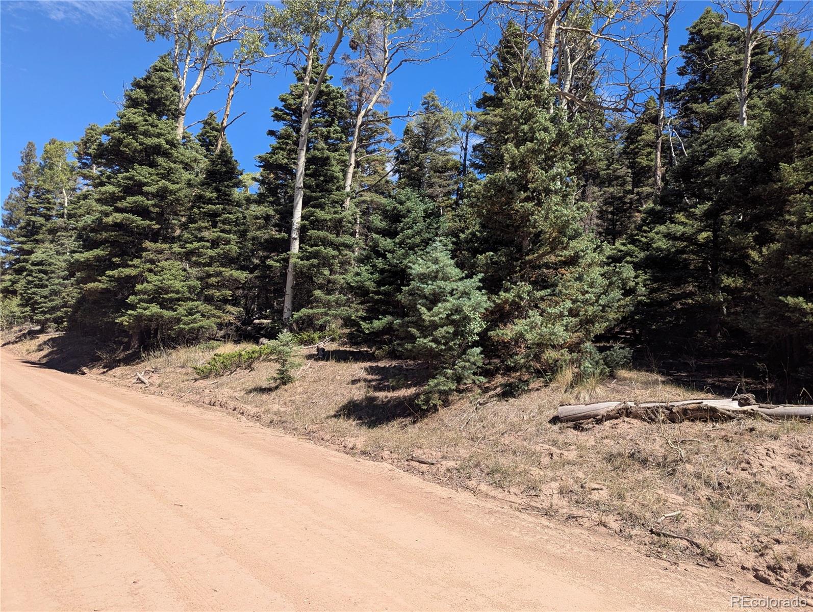 2860 Wendt Ln, Fort Garland, CO 81133