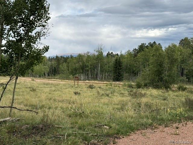 455 Aspen Way Dr, Florissant, CO 80816
