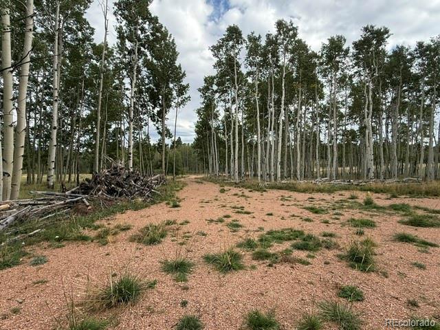 455 Aspen Way Dr, Florissant, CO 80816