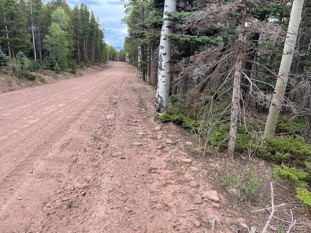 Stickney Lane Lot 3126, Fort Garland, CO 81133