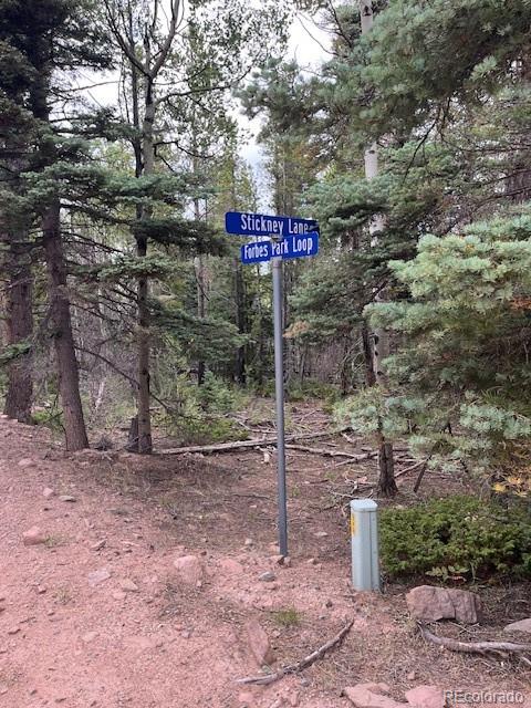 Stickney Lane Lot 3126, Fort Garland, CO 81133