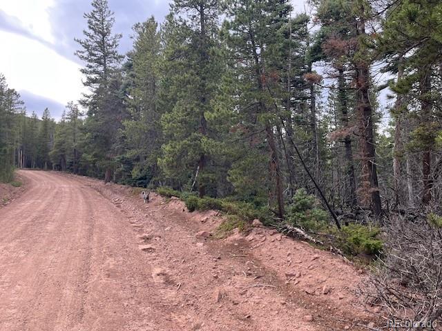 Stickney Lane Lot 3126, Fort Garland, CO 81133
