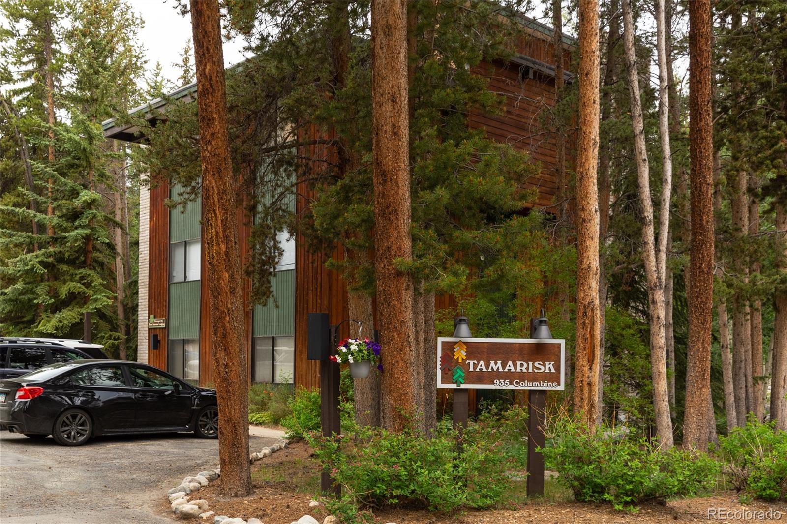 935 Columbine Rd #206, Breckenridge, CO 80424