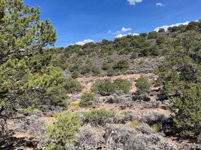 Flintlock Trail Lot 110, San Luis, CO 81152