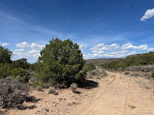 Flintlock Trail Lot 110, San Luis, CO 81152
