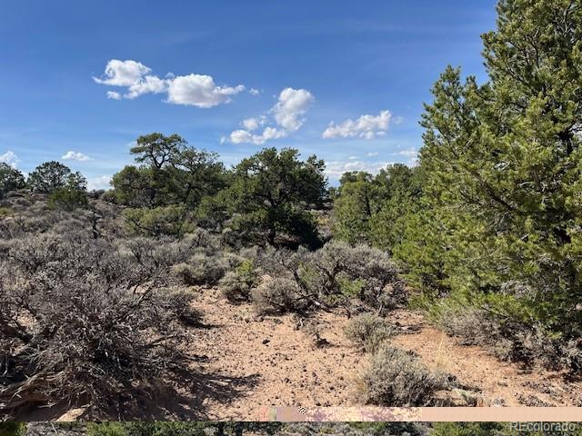 Flintlock Trail Lot 110, San Luis, CO 81152