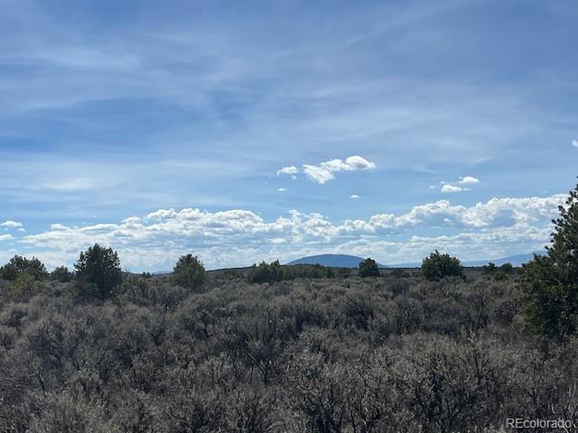 Garland Trail Parcel 9, San Luis, CO 81152