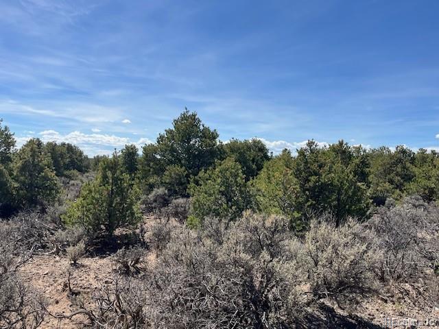 Garland Trail Parcel 13, San Luis, CO 81152
