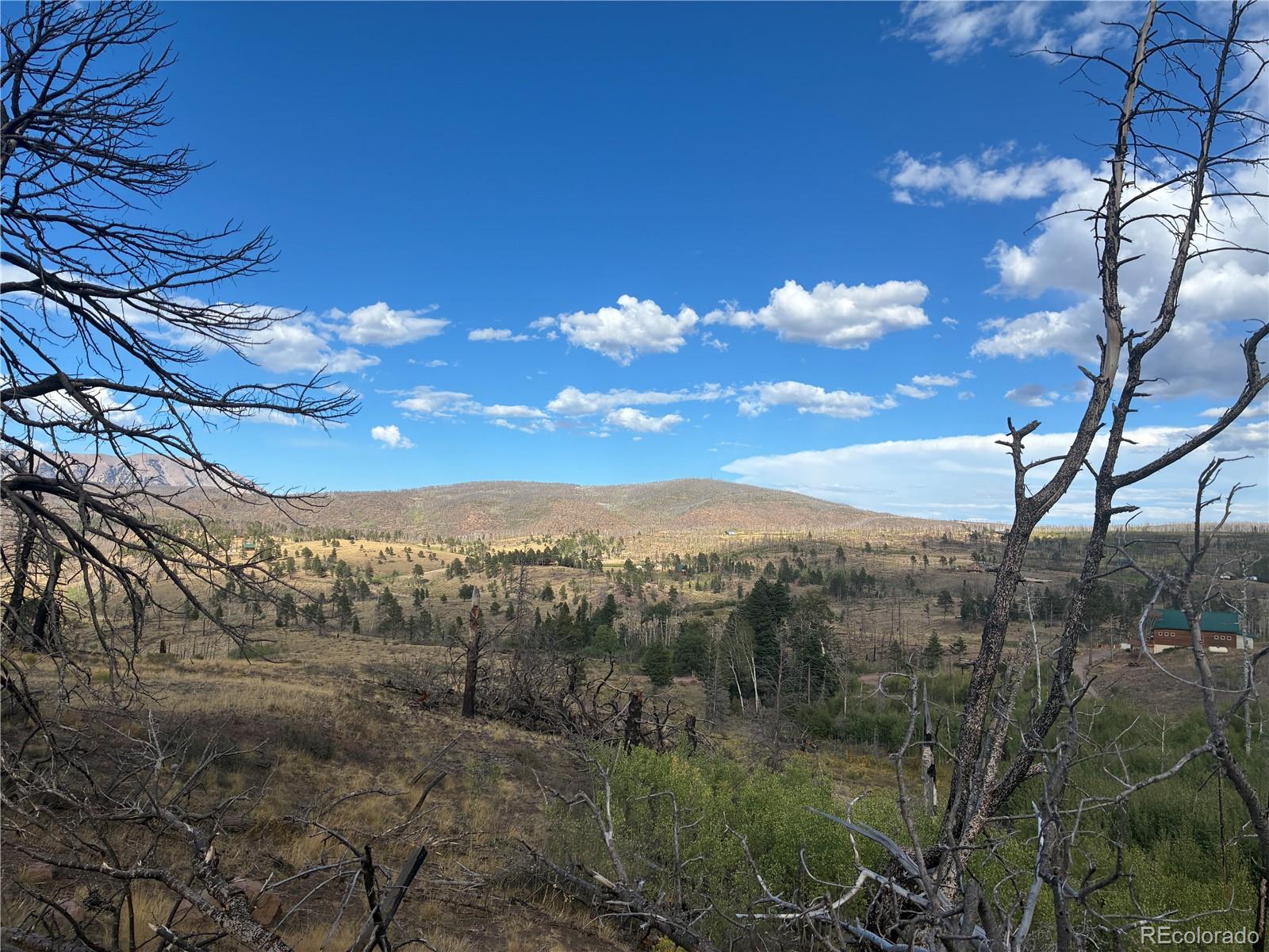 LOT 790 Duckworth Dr, Fort Garland, CO 81133