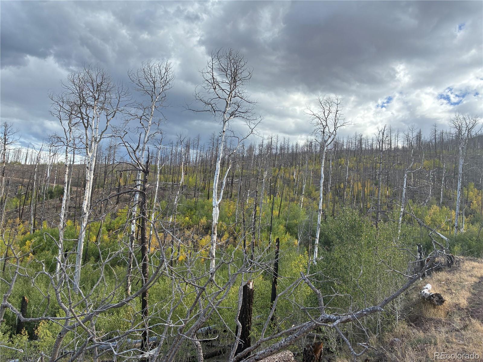 LOT 790 Duckworth Dr, Fort Garland, CO 81133