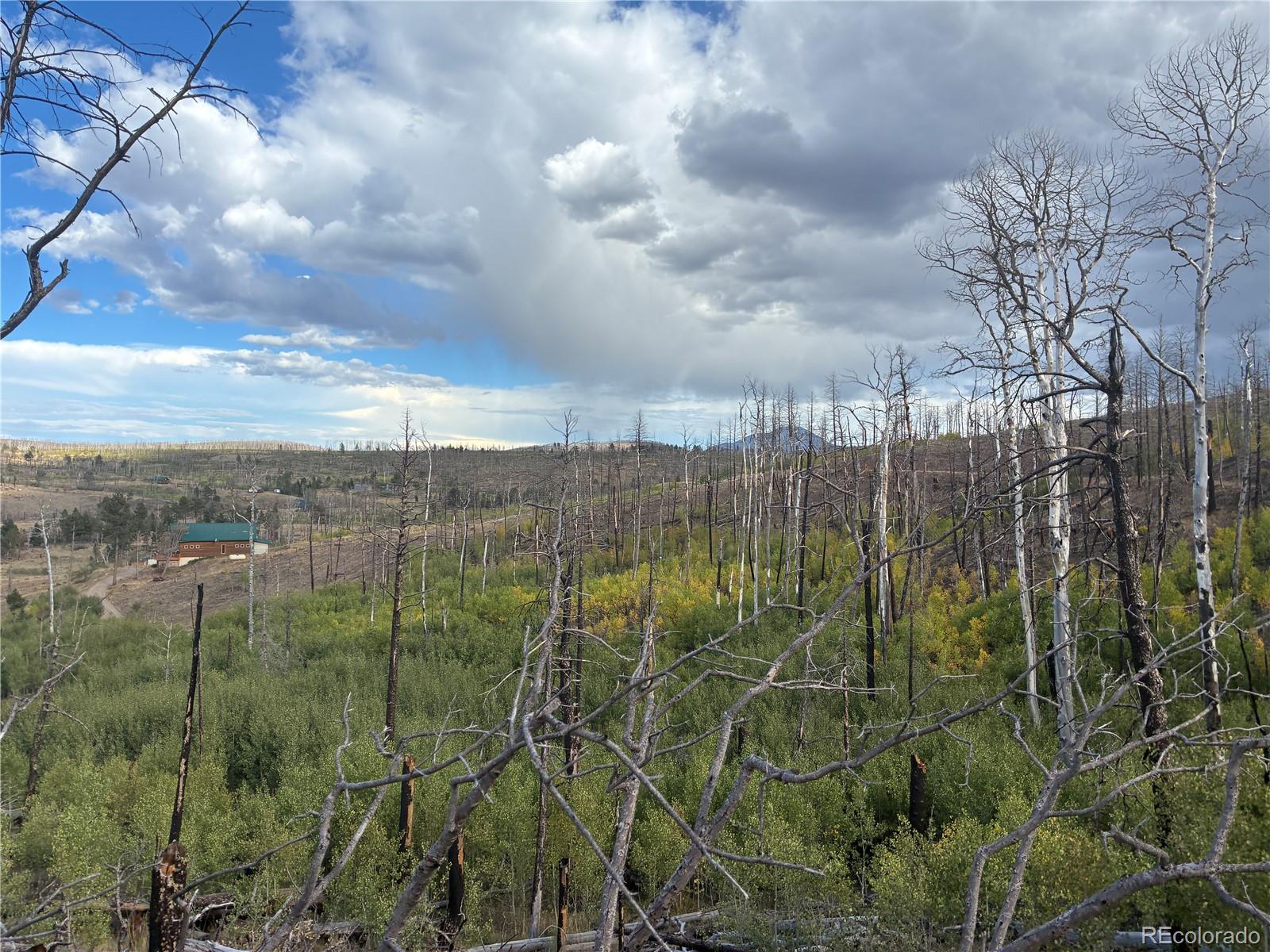 LOT 790 Duckworth Dr, Fort Garland, CO 81133