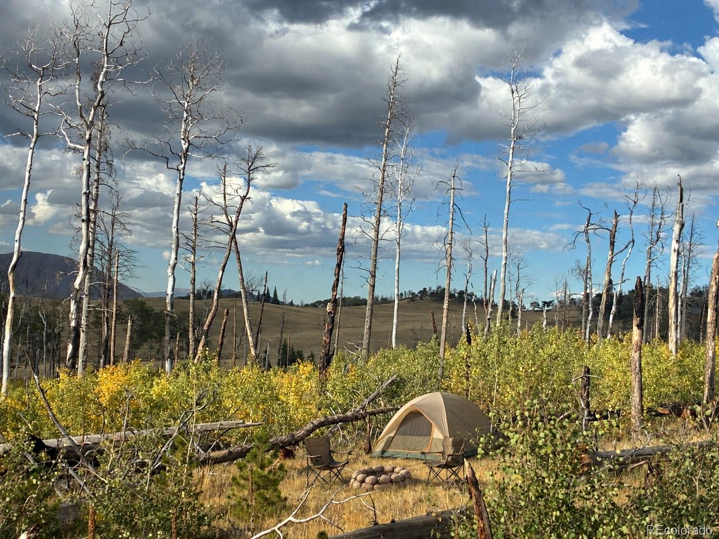 LOT 2257 Port Loop, Fort Garland, CO 81133