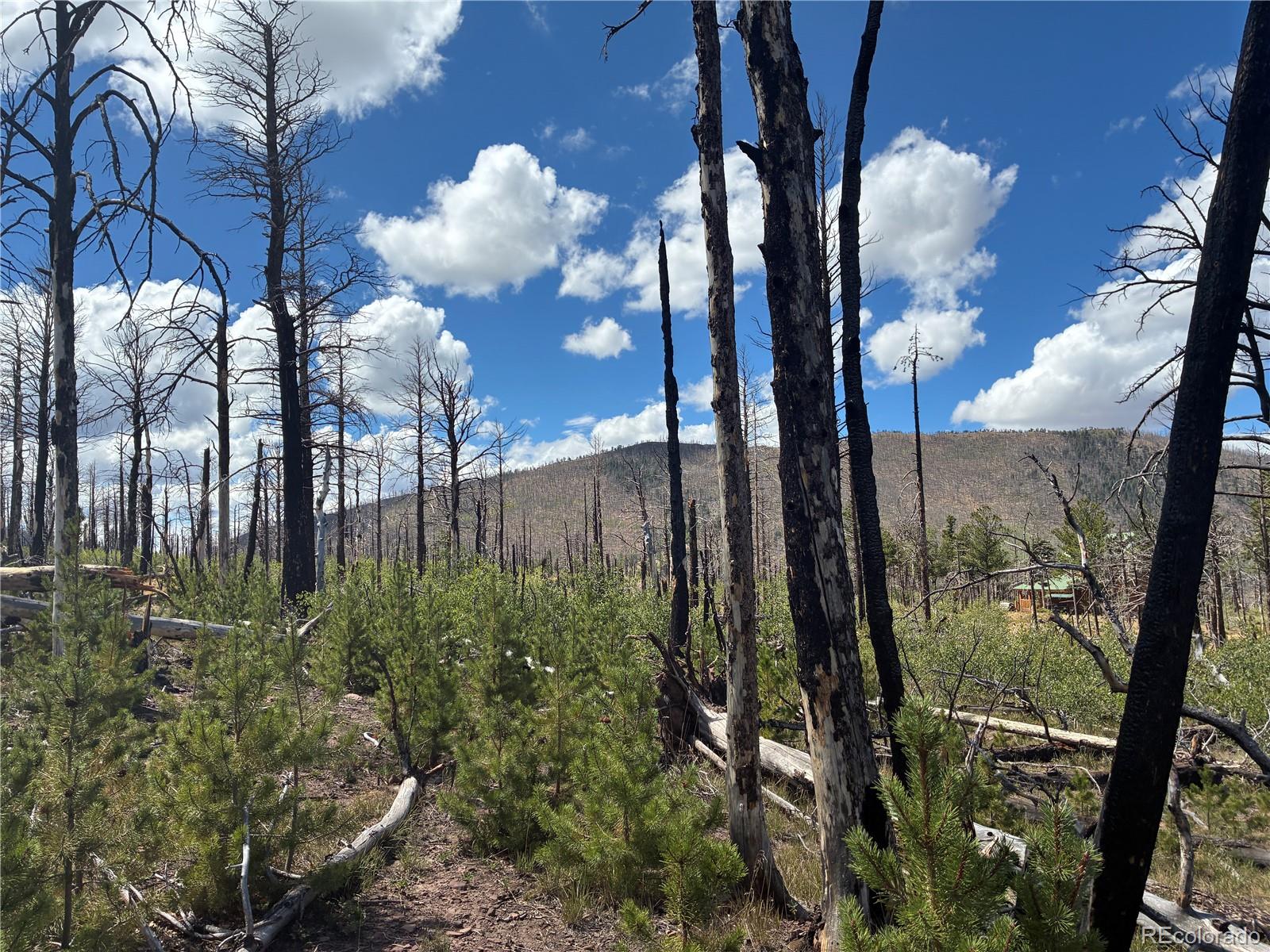 LOT 2257 Port Loop, Fort Garland, CO 81133