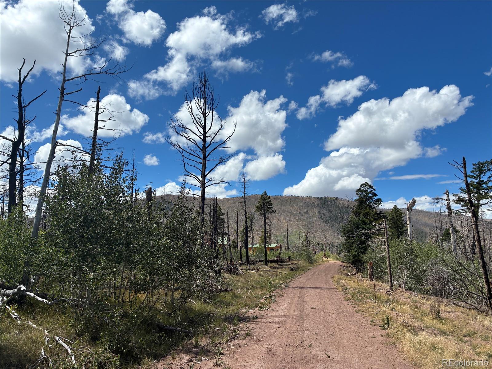 LOT 2257 Port Loop, Fort Garland, CO 81133