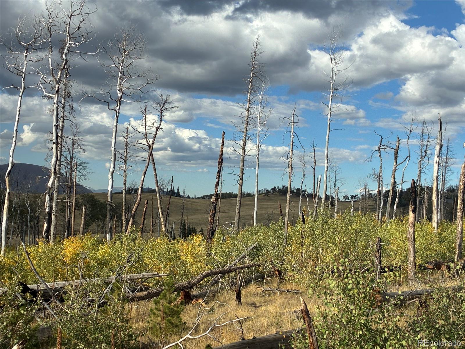 LOT 2257 Port Loop, Fort Garland, CO 81133