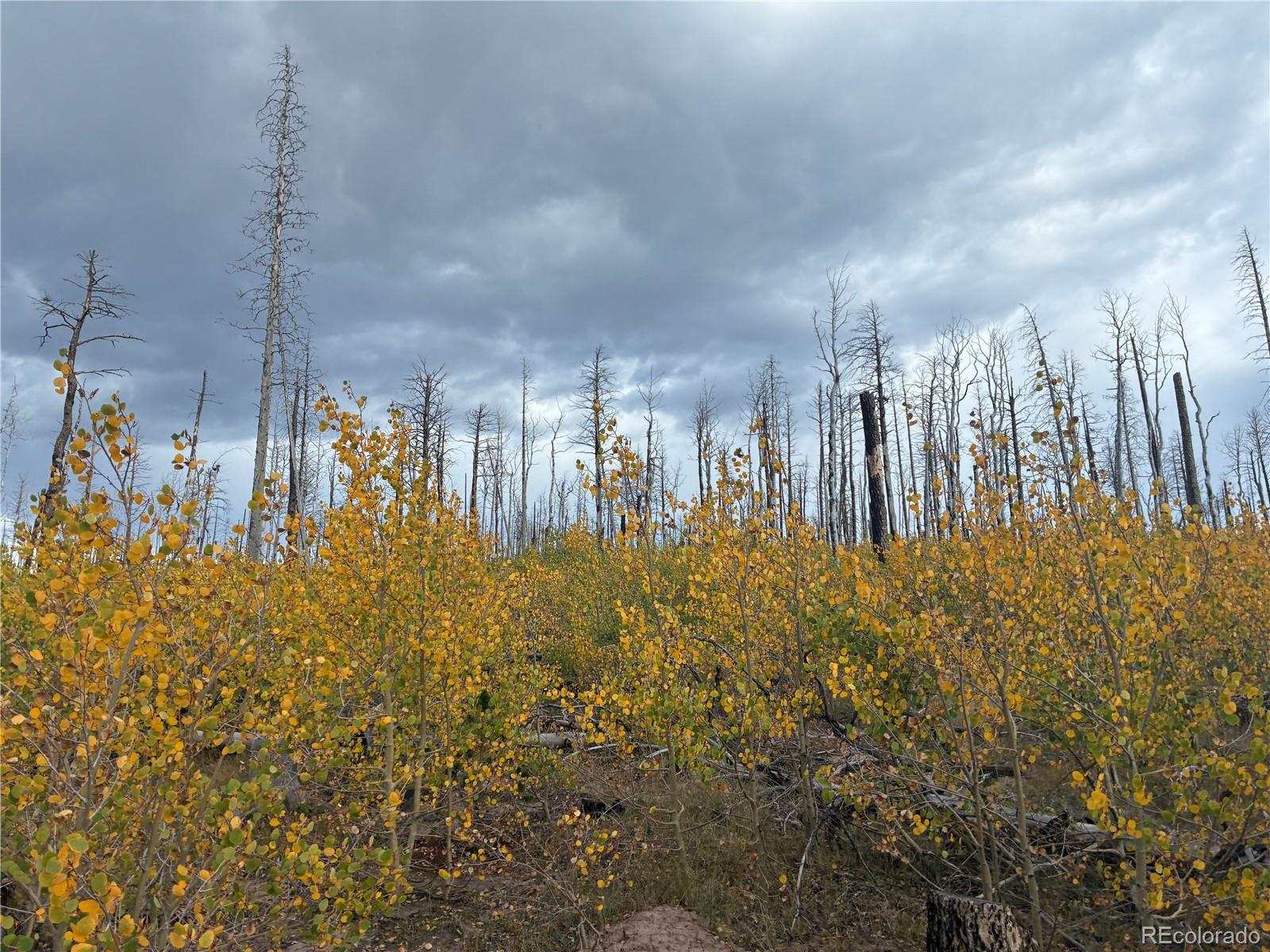 LOT 2257 Port Loop, Fort Garland, CO 81133