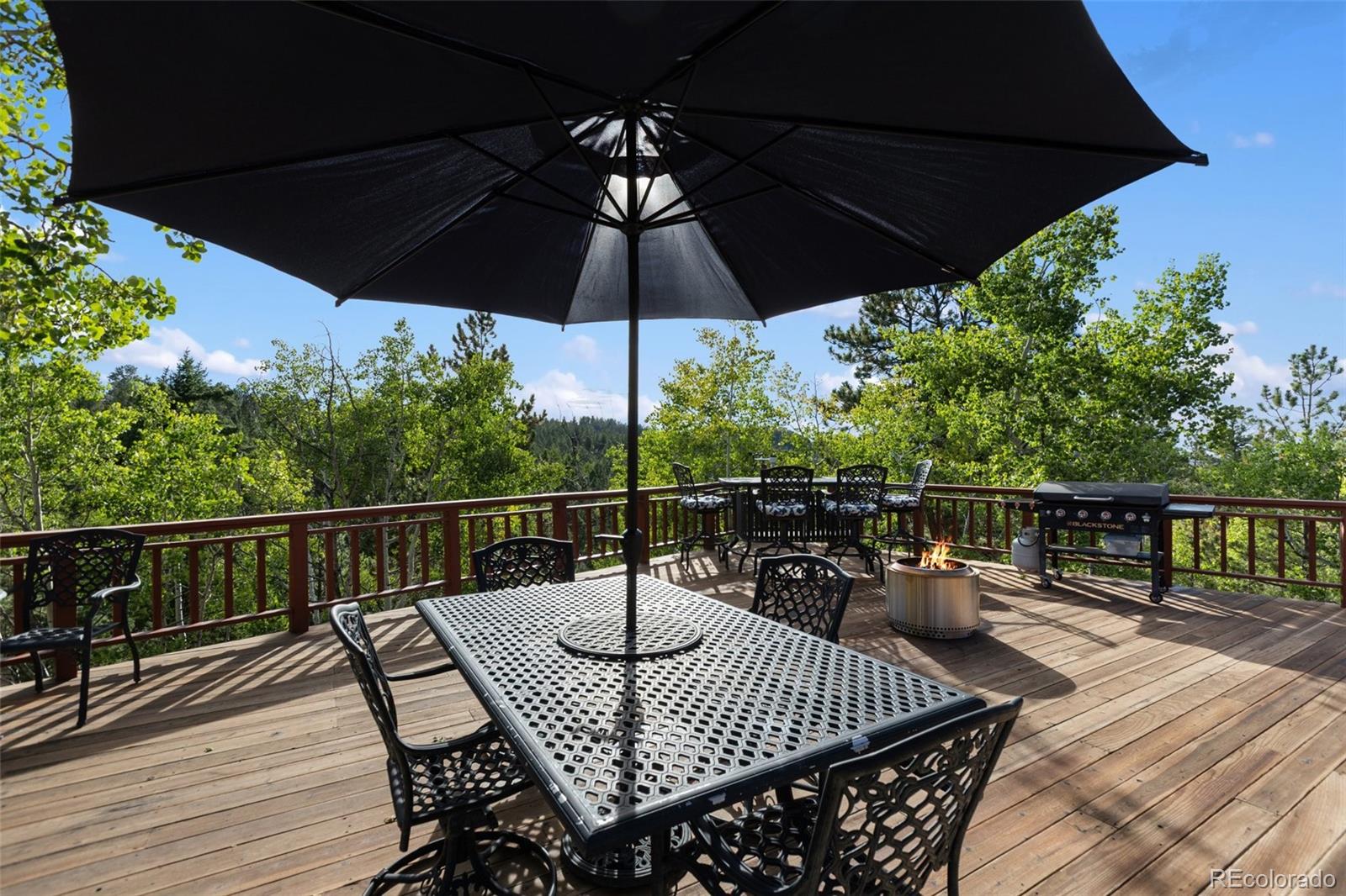 307 Berylium Rd, Florissant, CO 80816