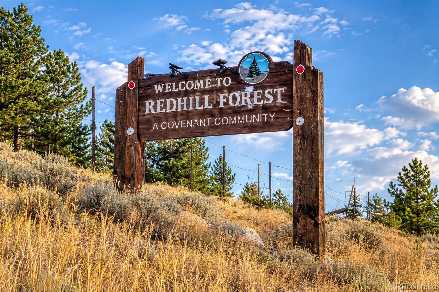 2271 Redhill Rd, Fairplay, CO 80440