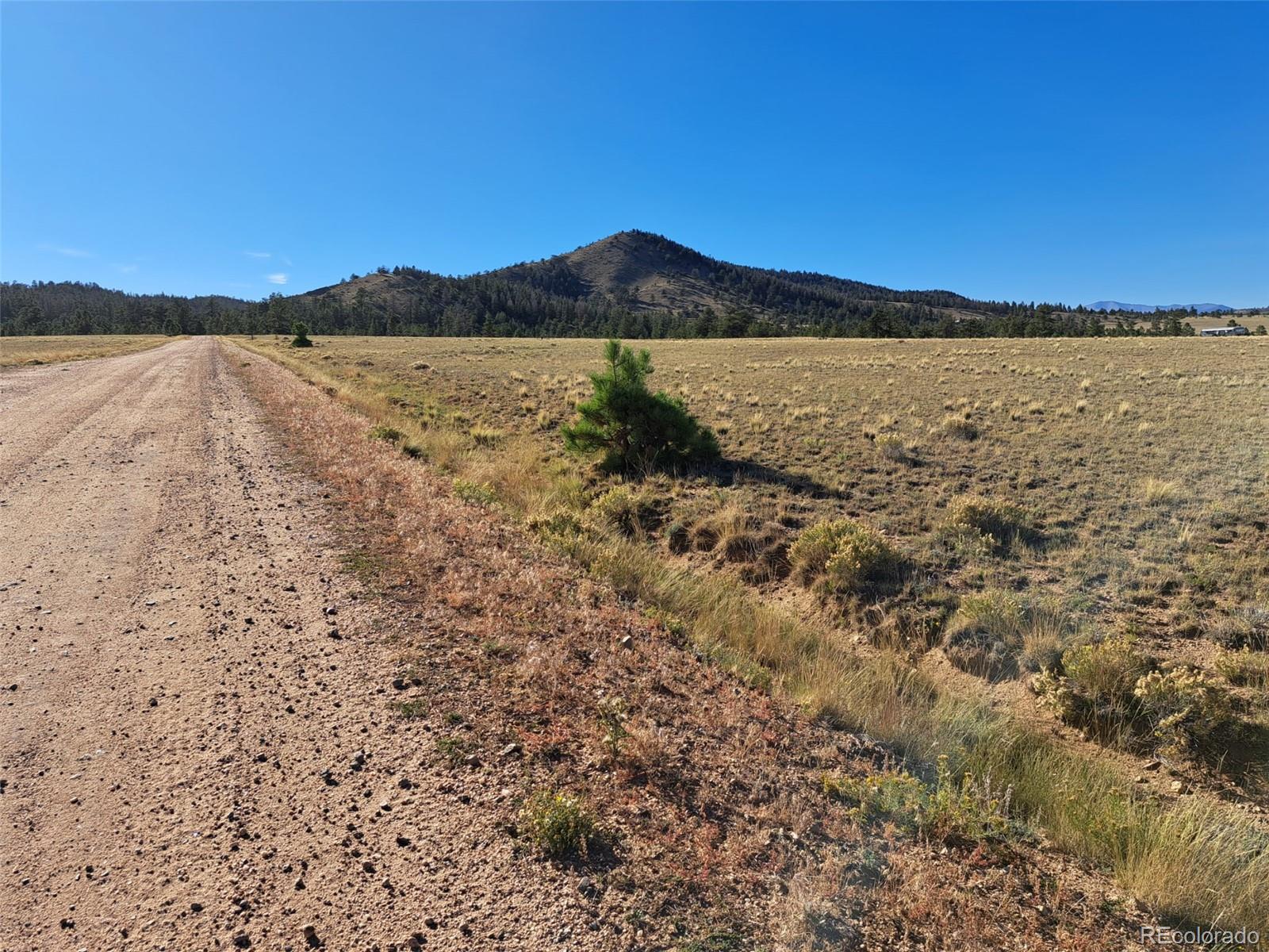 475 Summit Rd, Hartsel, CO 80449