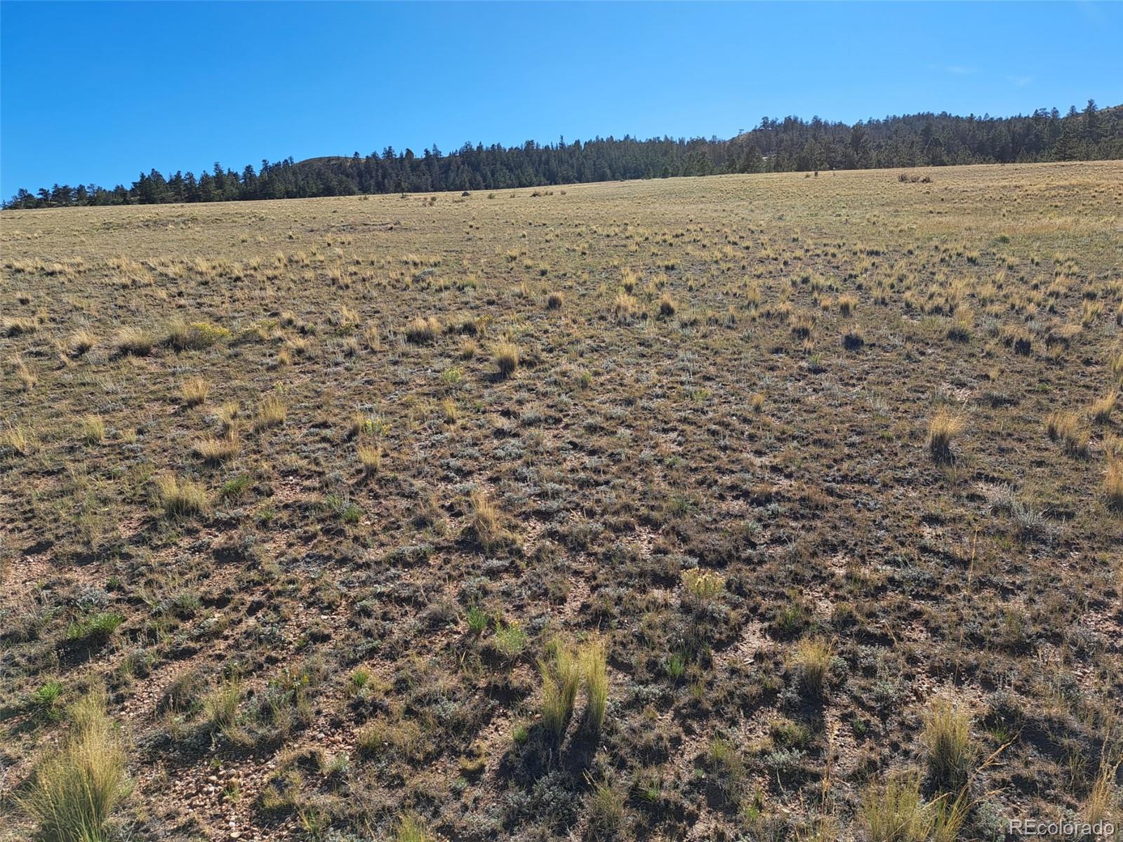 475 Summit Rd, Hartsel, CO 80449