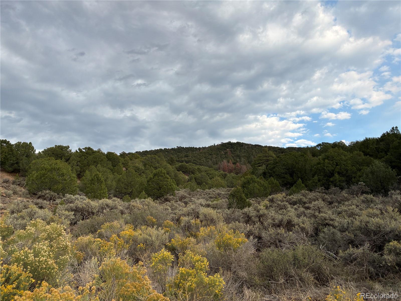 LOT 7583 Mallot Rd, Fort Garland, CO 81133