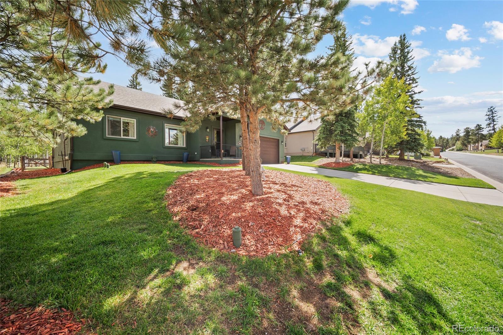 1113 Ptarmigan Dr, Woodland Park, CO 80863