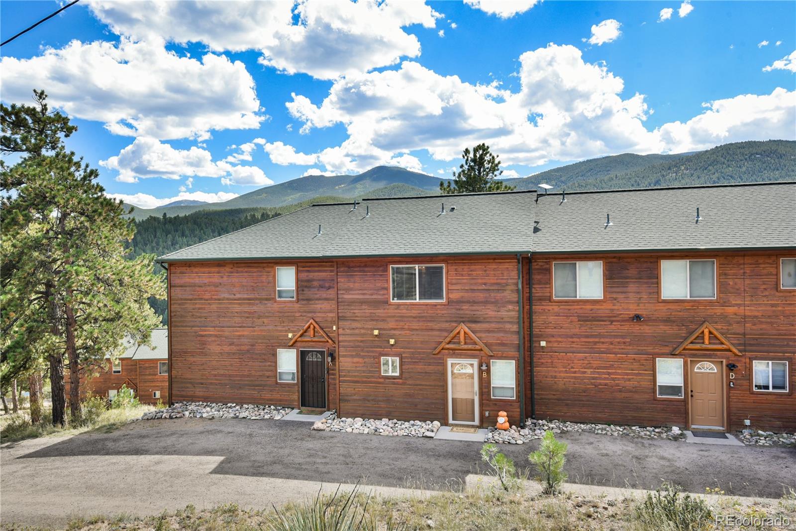 305 Virginia Rd #B, Bailey, CO 80421
