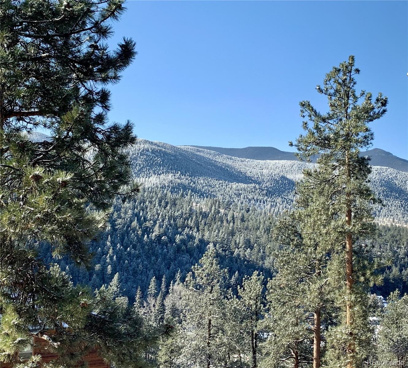 305 Virginia Rd #B, Bailey, CO 80421