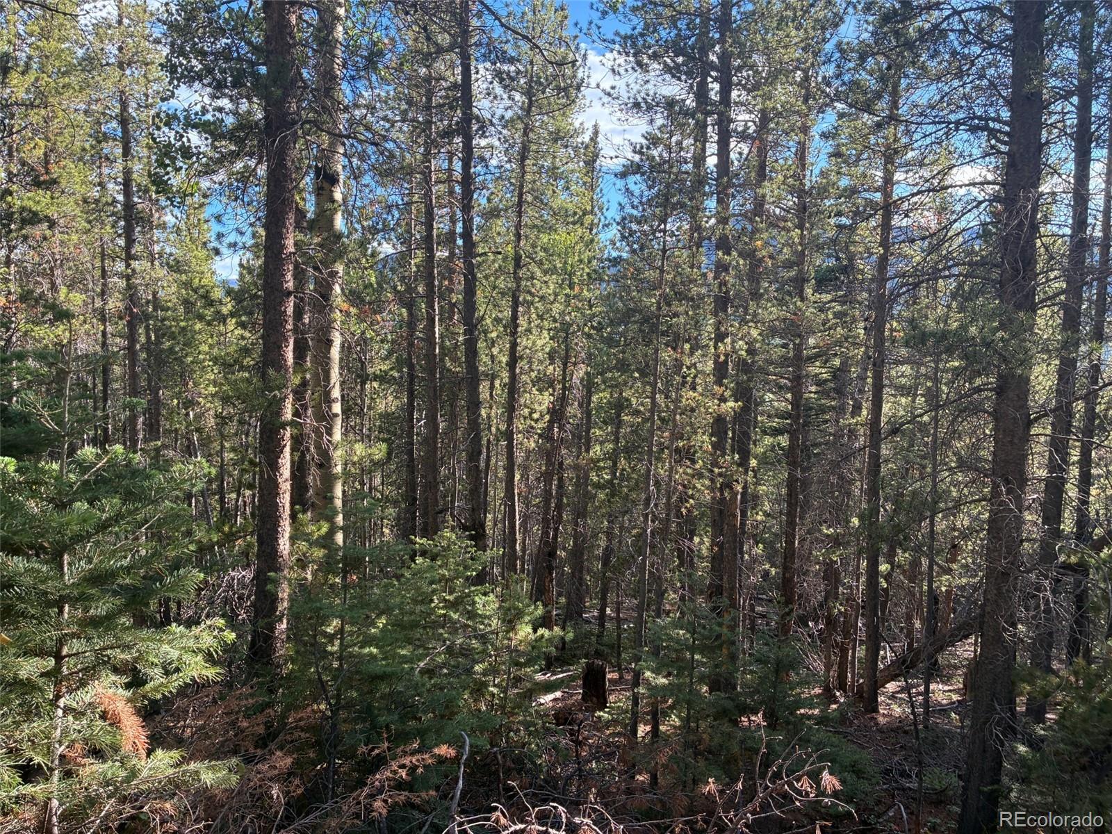 LOT 3160 Purnell Ln, Fort Garland, CO 81133