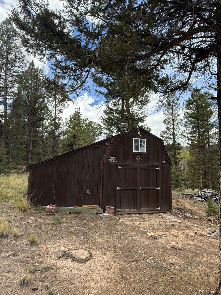 1667 Singletree Rd, Hartsel, CO 80449